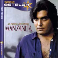 Un ramito de violetas