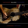 Ultimate Blues Masters, 2009