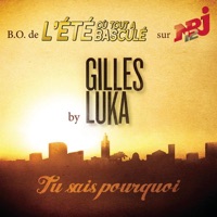 Tu sais pourquoi (B.O. de « L'été où tout a basculé ») - Single - Gilles Luka
