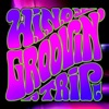 Groovin' Trip