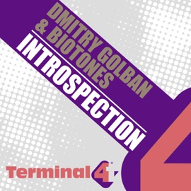 Introspection (Hazem Beltagui Remix) Dmitry Golban & Biotones