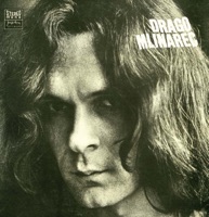 Drago Mlinarec - Grad