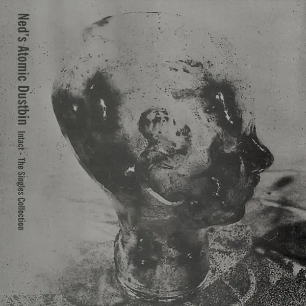 Happy — Ned's Atomic Dustbin