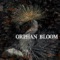 Sepia - Orphan Bloom lyrics