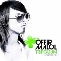 Trifolium - Single - Offir Malol
