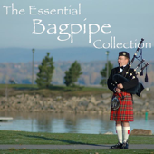 Flower of Scotland