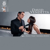 Hold That Sucker Down  (Long version) - Single - David Vendetta