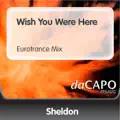 Wish You Were Here