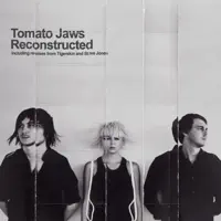 Why Don't You (Acoustic Version) — Tomato Jaws