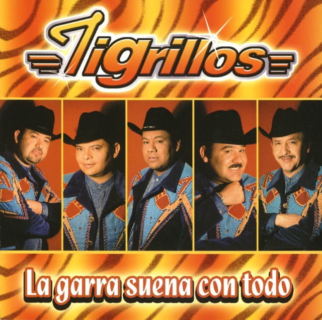 No Quiero Perderte