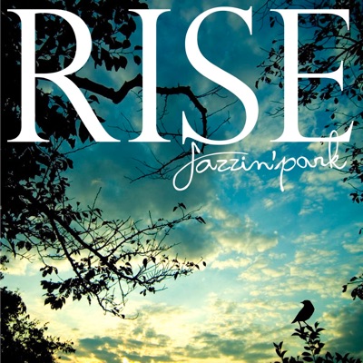 Rise - Single