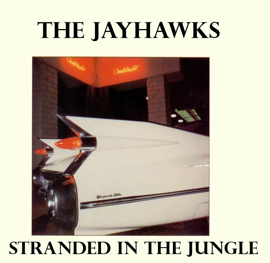 Stranded In the Jungle