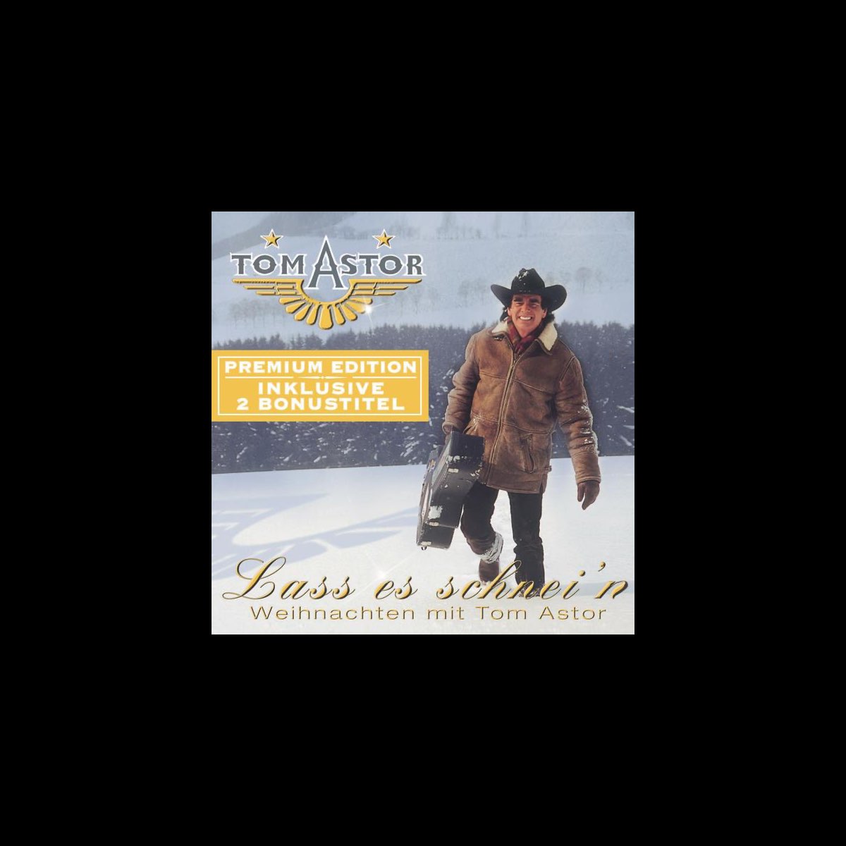 Lass es schnei'n Weihnachten mit Tom Astor》 Tom Astor的专辑 Apple Music