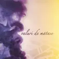 Hora Staccato [Valuri De Matase]