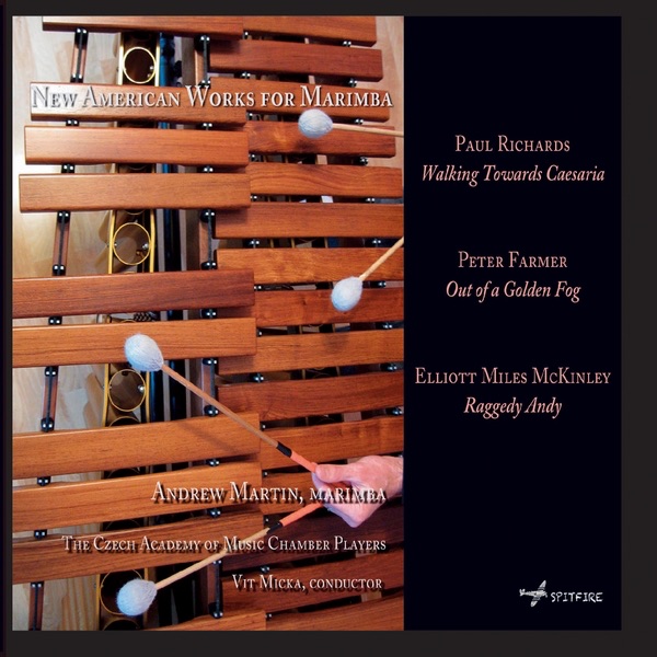 Обложка альбома «New American Works for Marimba» — Andrew Martin