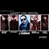 What You Sayin' (feat. Styles P, Masspike Miles, Tuge Palermo & French Montana) artwork