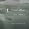 Awaken - Tony LeRoy lyrics