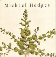 Ritual Dance — Michael Hedges