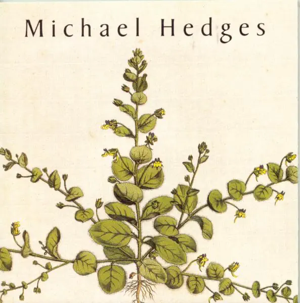 Ritual Dance — Michael Hedges