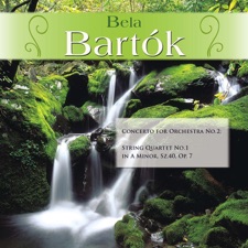 Béla Bartók - String Quartet No. 1 in A Minor, Sz.40, Op. 7: II. Allegretto (background)