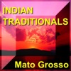 Indian Traditionals - Panpipe - Panflöte - Traditionelle Indianergesänge Und Panflöte