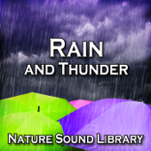 Passing Thunderstorm With Steady Rain for Peace of Mind and Serenity