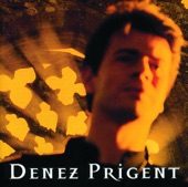 Me 'Zalc'H Ennon Ur Fulenn Aour