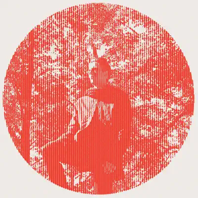 Heartland (Bonus Track Version) - Owen Pallett