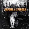 Kaponz & Spinoza