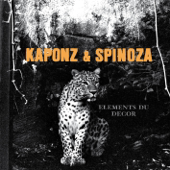 Cover art for Éléments du décor by Kaponz & Spinoza