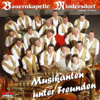 Musikanten unter Freunden - Bauernkapelle Mindersdorf