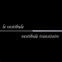 Vestibule Transitoire — Electric Bird Noise