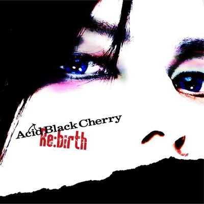 黒猫 Adult Black Cat Acid Black Cherry Shazam 黒猫 Adult Black Cat Acid Black Cherry Shazam