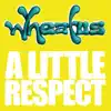 Little Respect