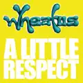 A Little Respect (David Thoener Mix #1)