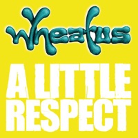 Wheatus - A Little Respect (David Thoener Mix #1)