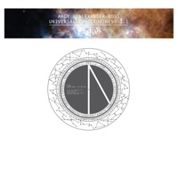 Universal Consciousness 1.1 - Single - Alexander Ross & Argy