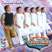 Roberto Moron y Su Atentado Internacional - Paloma Herida