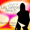 Spirit of las Salinas Beach Vol. 2