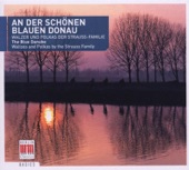 The Blue Danube, "Frühlingsstimmen", Waltz Op. 410: Walzer artwork