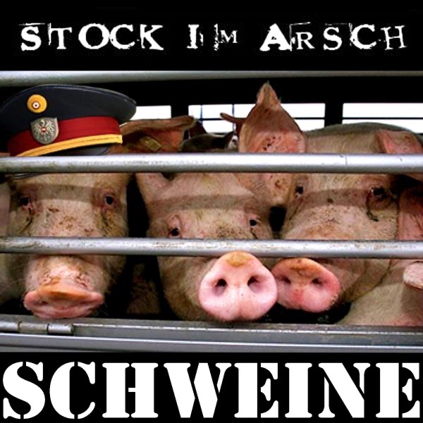 Schweine