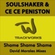 Shame Shame Shame David Morales Mixes