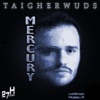 Taigherwuds - Mercury (Original Mix)