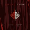 Absurd Minds