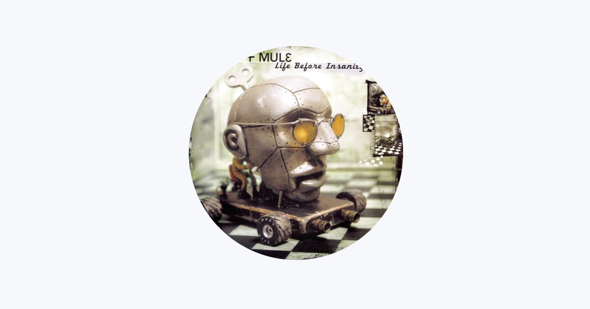 Gov't Mule - Apple Music