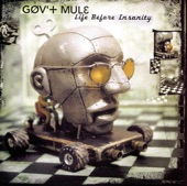 Gov't Mule - Lay Your Burden Down