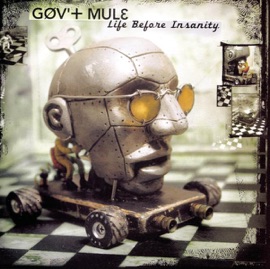 Life Before Insanity Gov't Mule