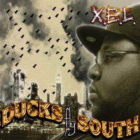 Ducks Fly South - X.E.L.