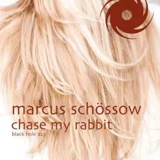 Chase My Rabbit by Marcus Schossow song reviws