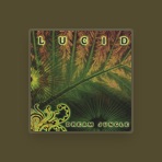Dream Jungle
